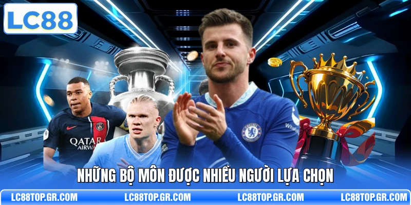 Những bộ môn được nhiều người lựa chọn